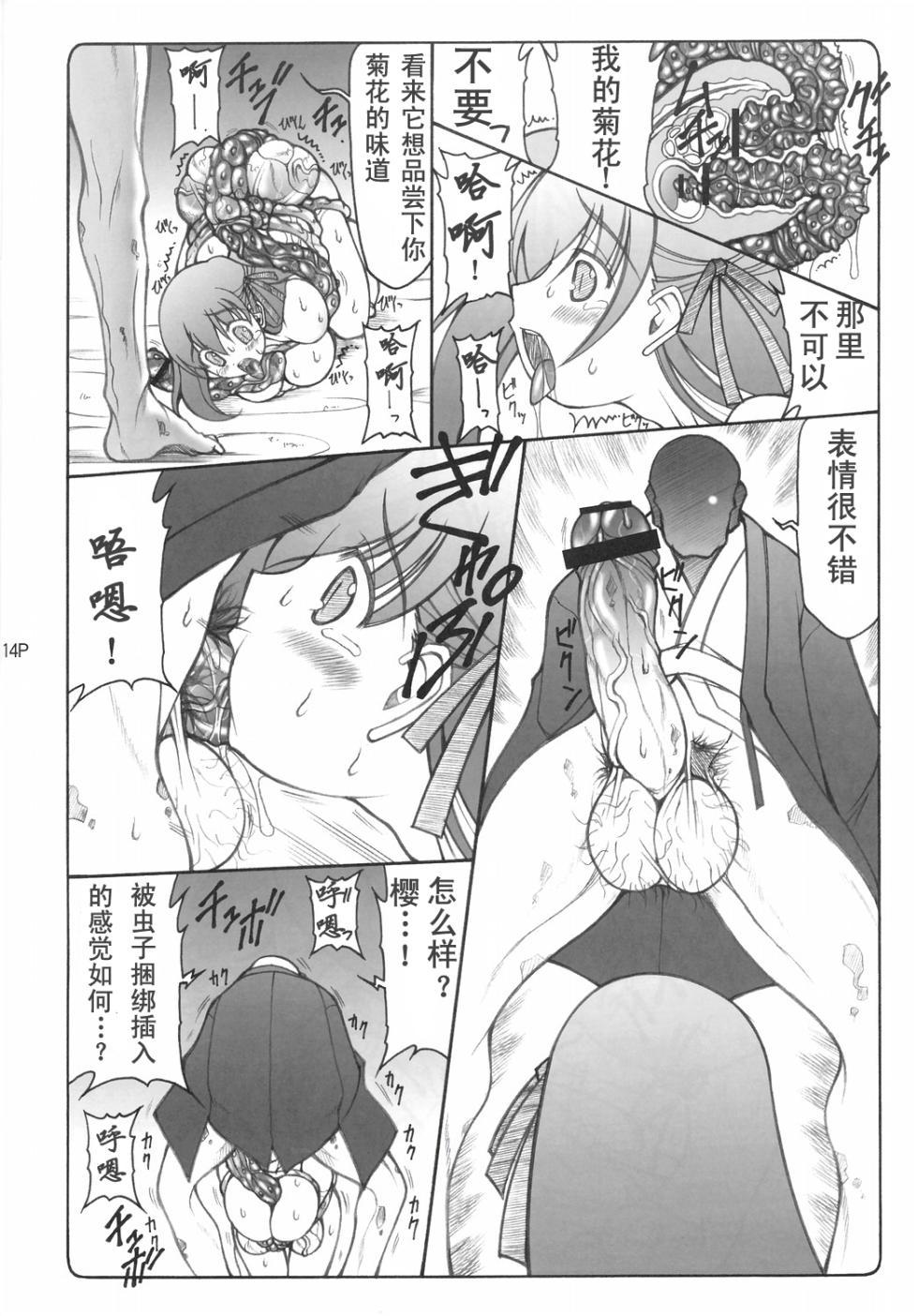 (C68) [暴れん坊天狗 (泉ゆうじろ～)] 蟲鳥1-16 (Fatestay night) [中国翻訳] [个人整合版] - Page 13