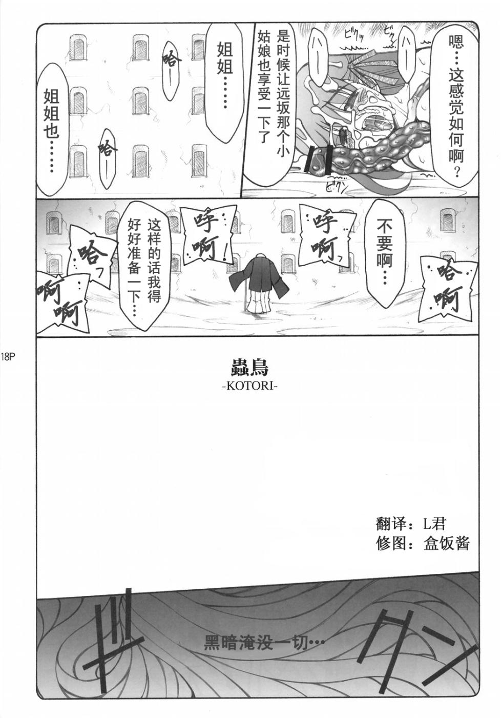 (C68) [暴れん坊天狗 (泉ゆうじろ～)] 蟲鳥1-16 (Fatestay night) [中国翻訳] [个人整合版] - Page 17