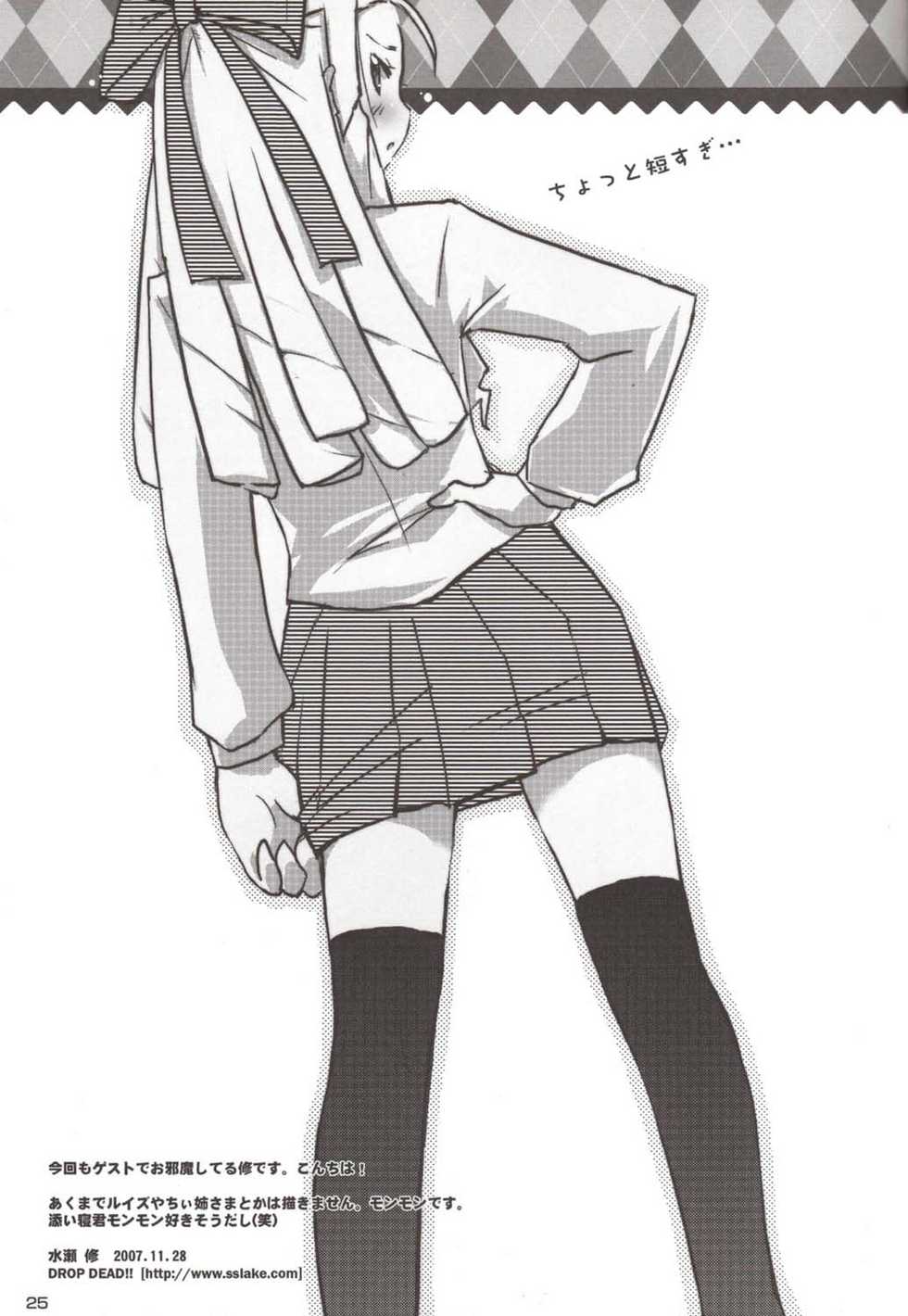 (C73) [Hannama (Inado Serere, Soine)] Blue Allium cepa (Zero no Tsukaima) - Page 25