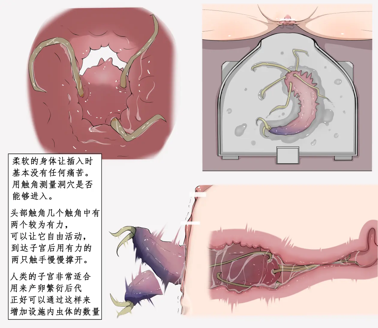 蟲研究レポート_No.01-21 [Chinese] [孤独的蛇个人汉化] - Page 3
