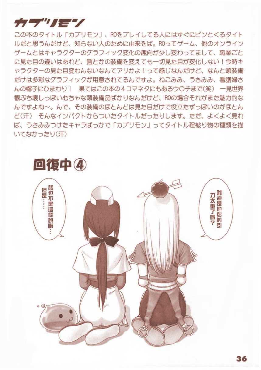 (C63) [T2 ART WORKS (Tony)] Kaburimon Vol. 1 (Ragnarok Online) [Chinese] [Decensored] - Page 34