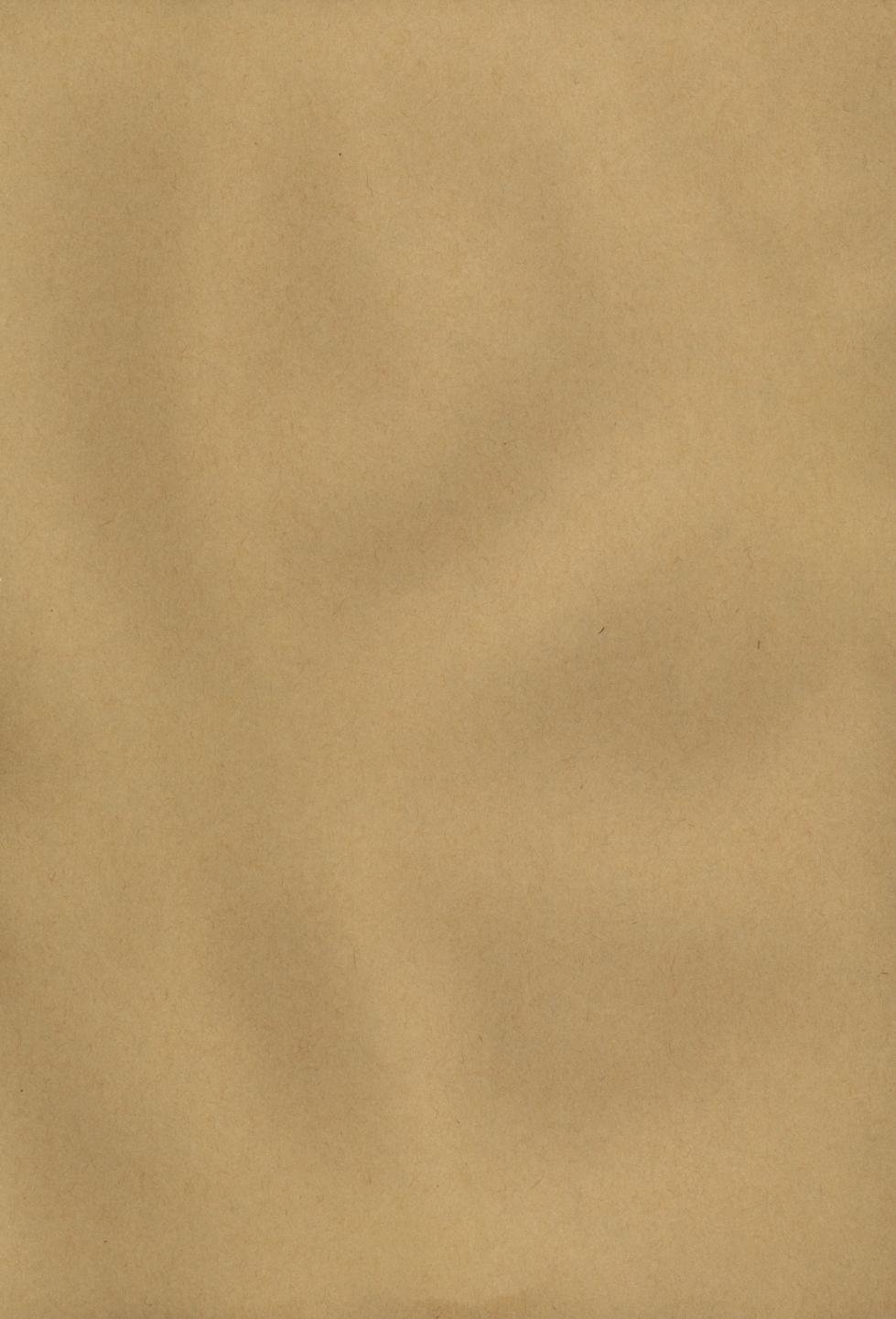 (C67) [70 Nenshiki Yuukyuu Kikan (Endou Okito)] Kurokami no Sarasate _ SARASATE ob Brunet hair - Page 8