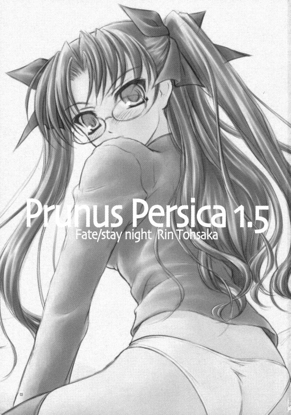 (COMIC1☆2) [Yakan Honpo, Yakan Hikou (Inoue Tommy)] Prunus Persica 1.5 (Fate/stay night) - Page 2