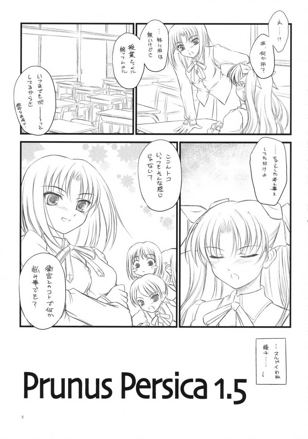 (COMIC1☆2) [Yakan Honpo, Yakan Hikou (Inoue Tommy)] Prunus Persica 1.5 (Fate/stay night) - Page 10
