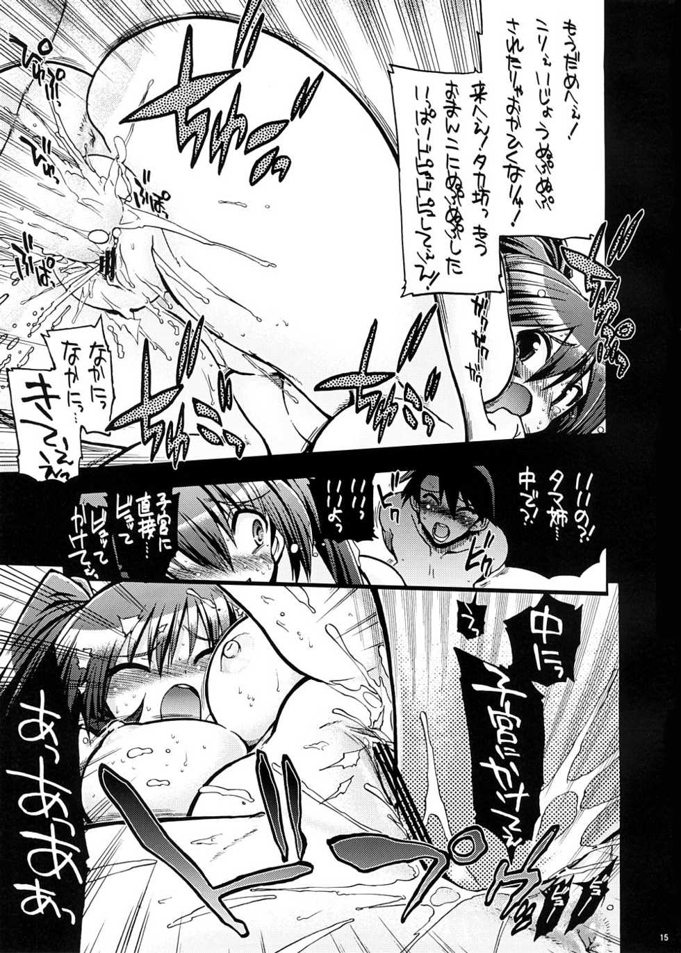 (COMIC1☆2)[Matsumoto Drill Kenkyuujo] Mou Oppai to Ieba Tama-nee Nandayo! (ToHeart 2) - Page 14