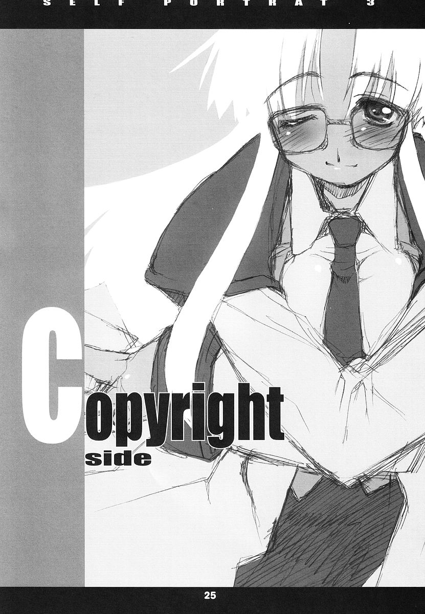 (C62) [niesox (Tamori Tadaji)] SELF PORTRAIT 3 (Various) - Page 25