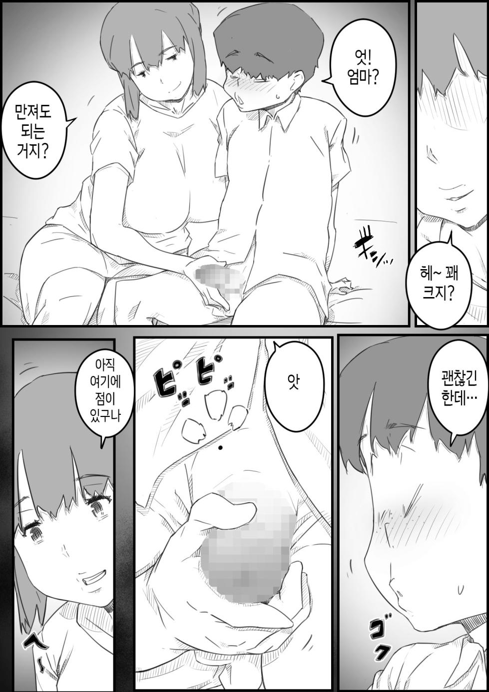 [Hirekatsu] Hajimete wa, Kaa-san de... Haha to Musuko no Manatsu no Himegoto | 처음은, 엄마로… 엄마와 아들의 한여름의 비밀 [Korean] [팀 숙녀] - Page 9