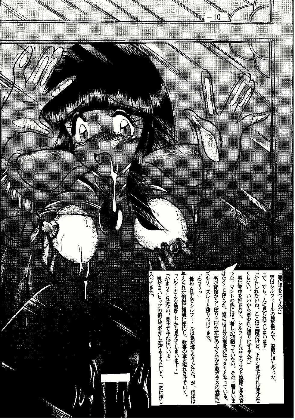 (CR23) [Studio Kyawn (Murakami Masaki, Sakaki Shigeru)] Shinseiki (Slayers) - Page 10