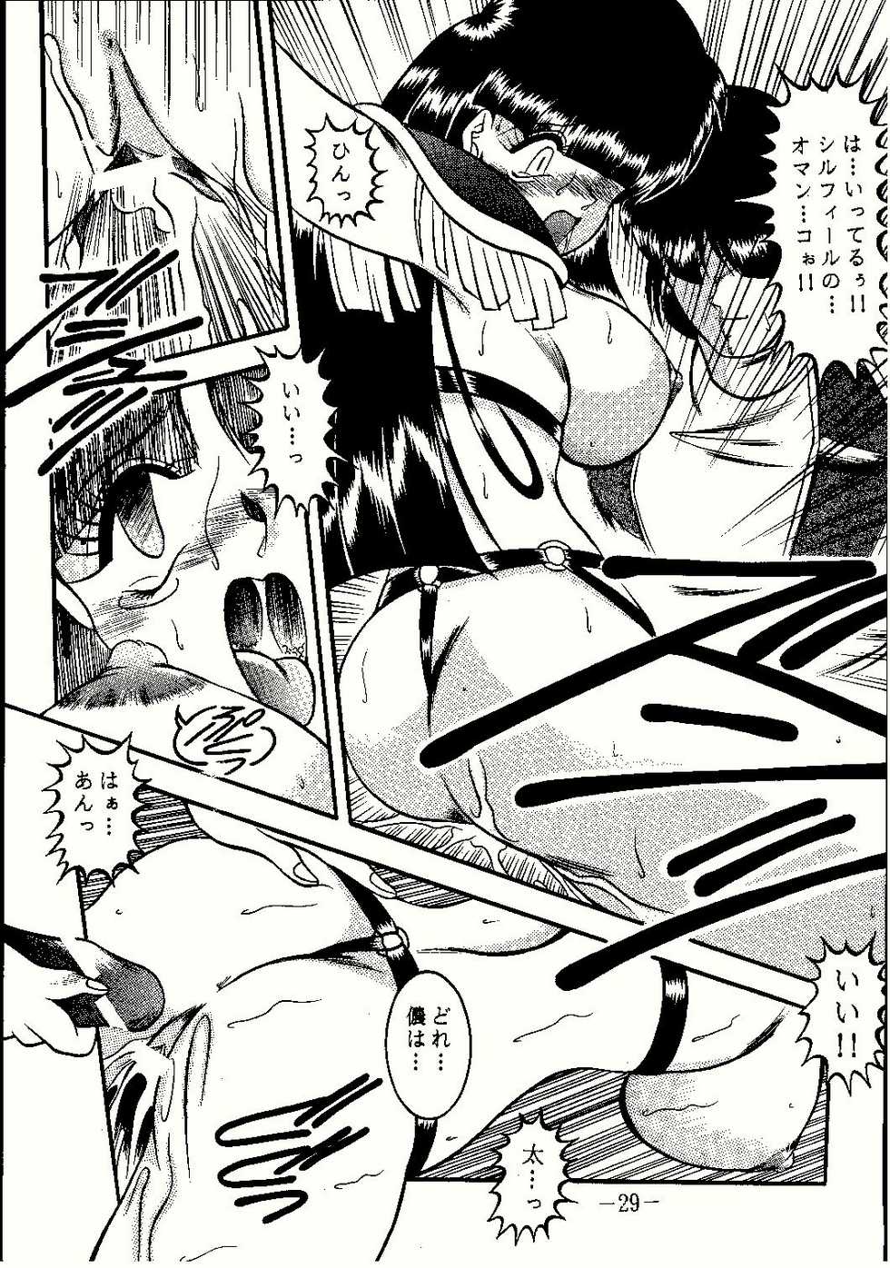 (CR23) [Studio Kyawn (Murakami Masaki, Sakaki Shigeru)] Shinseiki (Slayers) - Page 29