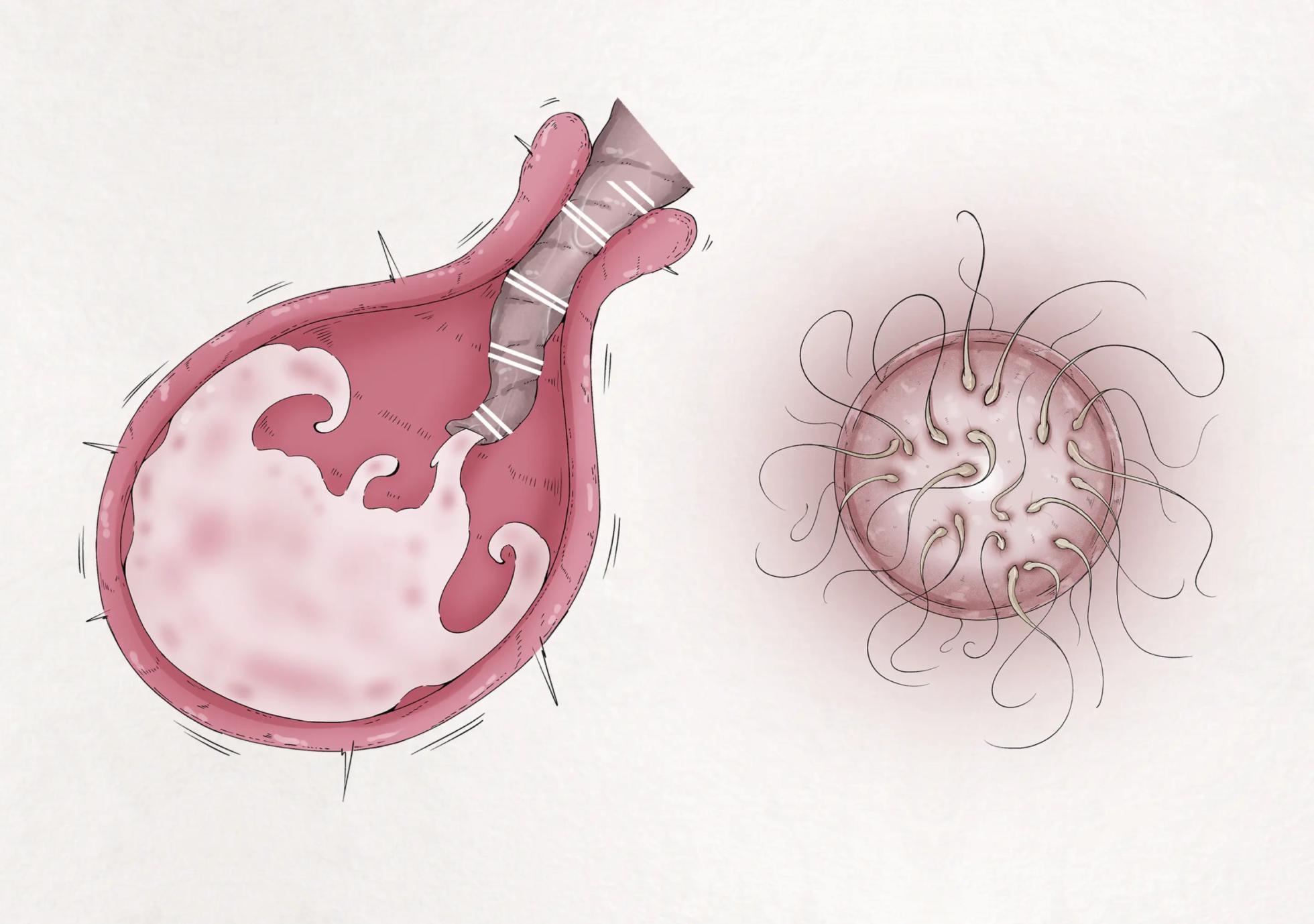 [Gura] Insect Research Report No.1~23 [English] [Machine-Translated] - Page 18