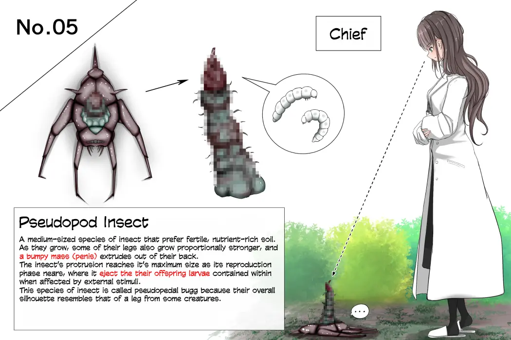 [Gura] Insect Research Report No.1~23 [English] [Machine-Translated] - Page 34