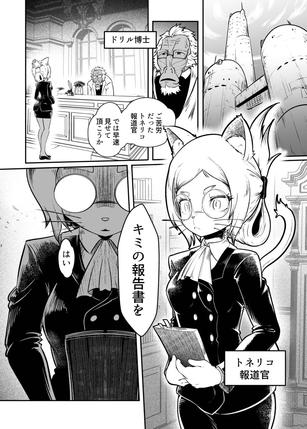 [KAWAZOKO (Kikunyi)] Tonelico Houdoukan no Ura Houkokusho (Hitoner) [Digital] - Page 3