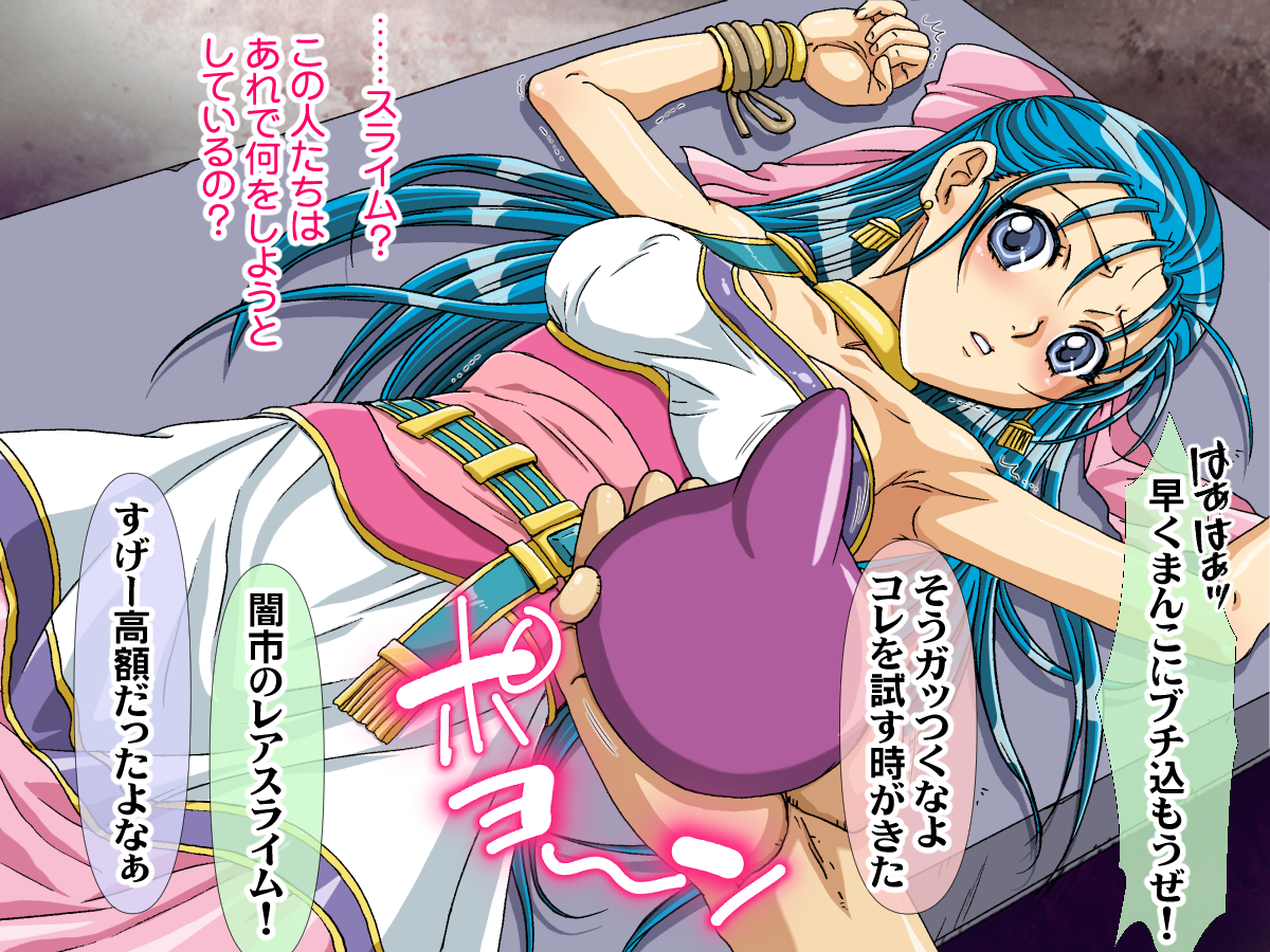 [STUDIO PAL (Nanno Koto)] Kanojo-tachi ga Zecchou Jigoku ni Ochita Hanashi Flora-hen  (Dragon Quest V) - Page 11