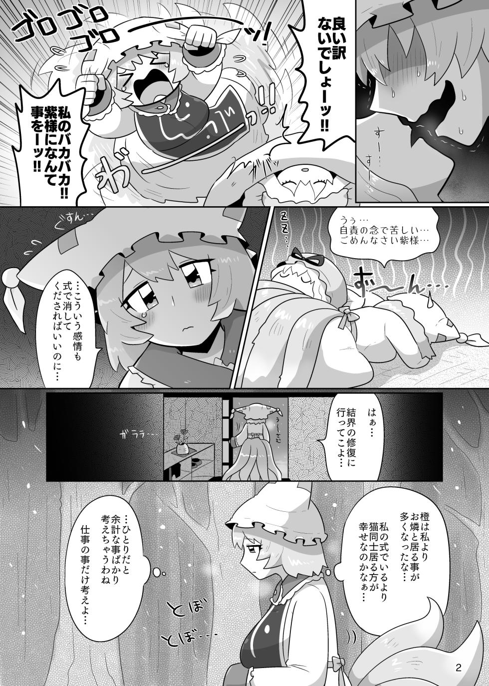 [Gaihutan (Kasugai)] Kienai Memento (Touhou Project) [Digital] - Page 3
