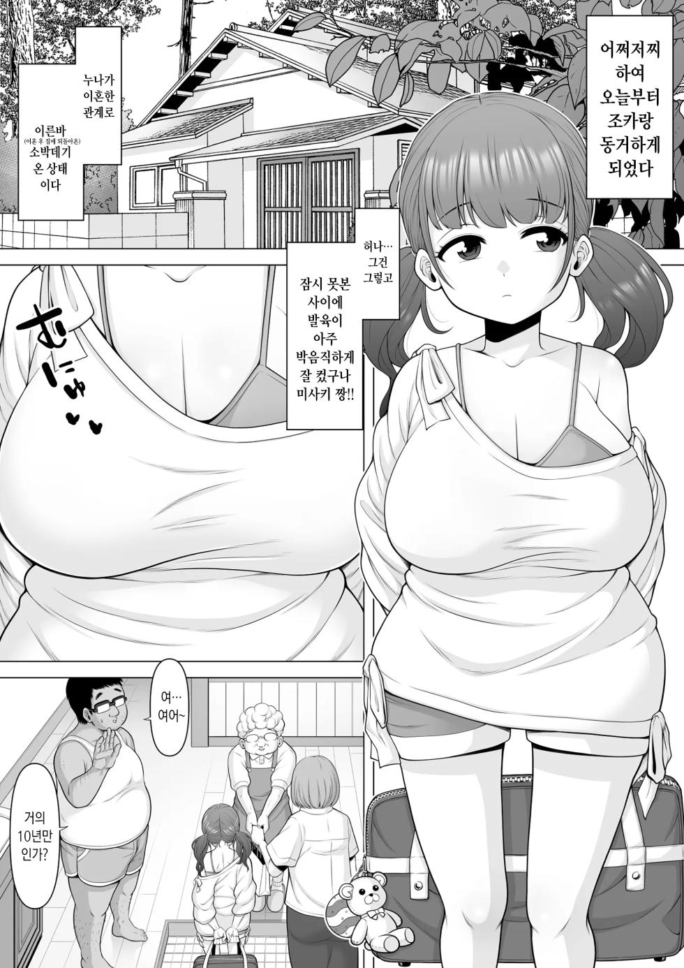 [Pot Detox] 10-nen-buri ni Atta Kyonyuu Mesugaki Meikko ga Ore o Baka ni Shitekita node Oshioki Suiminkan Rape Shichaimashita!! | 10년만에 다시 만난 거유 암컷꼬맹이 조카가 나를 멸시하고 조롱하는 바람에 그 벌로 수면간 레이프 해줘버렸습니다!! [Korean] - Page 2