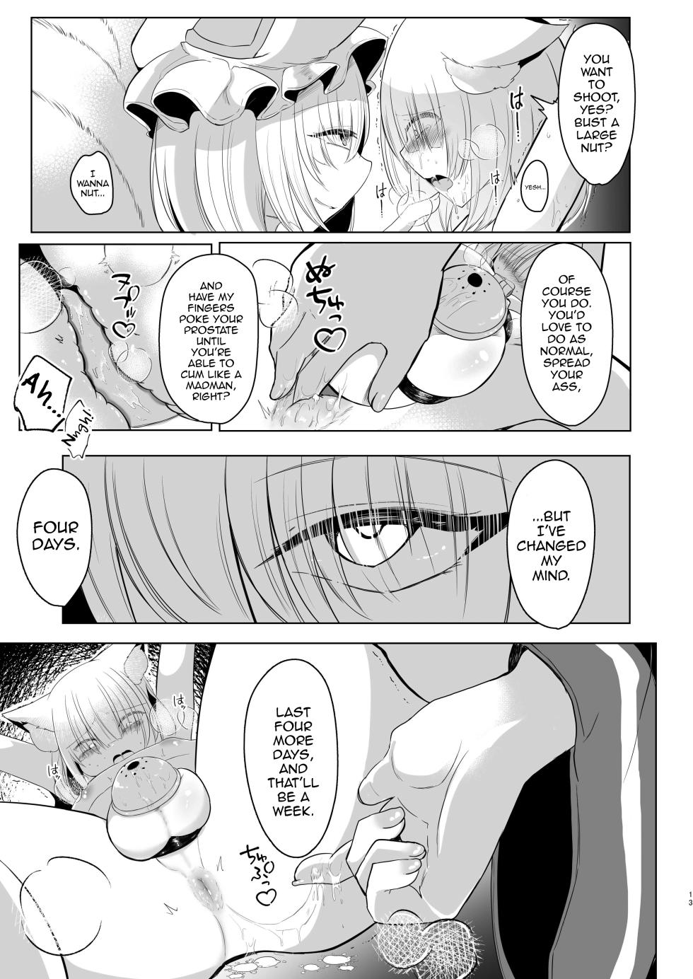 [Kanmi Cat (Miyase Nukko)] Yakumo Ran ni Yoru Seidorei Shasei Kanri Choukyou Kogitsune Hen (Touhou Project) [English] [mysterymeat3] [Digital] - Page 12