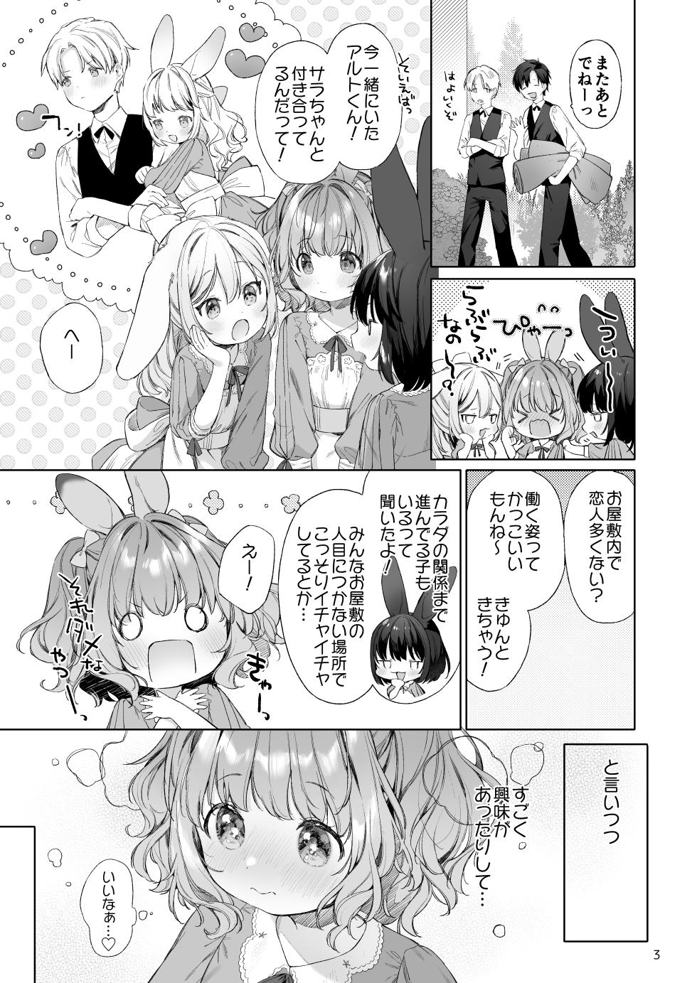 [ANCHOR (Mutou Mato)] Usamimimaid to koibitoH [Digital] - Page 4