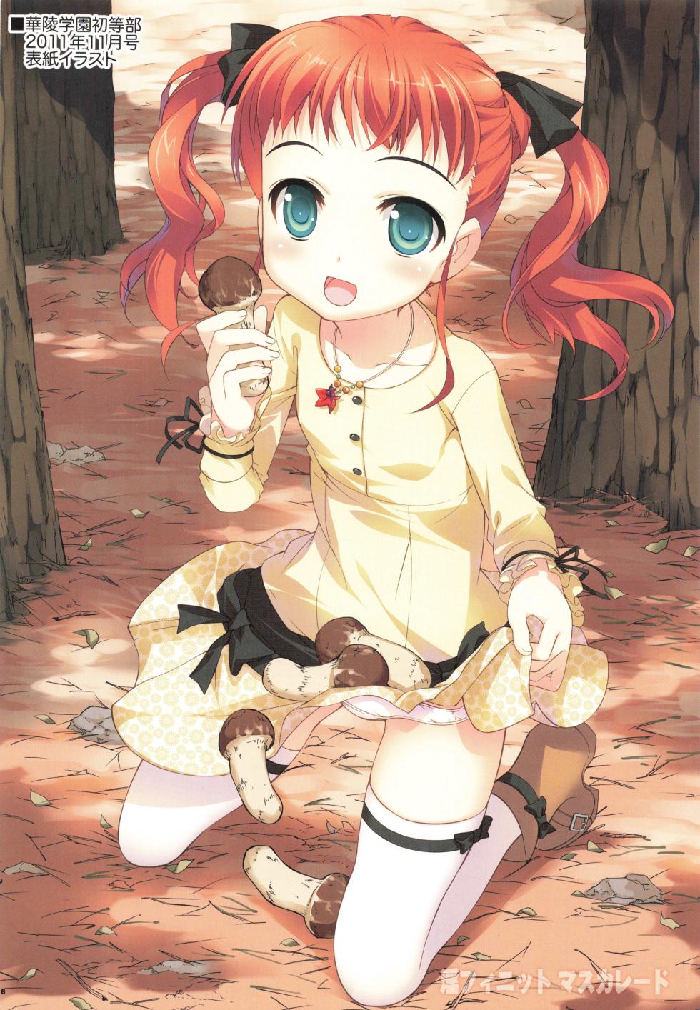 [Yan-Yam] Infinite Masuquerade (IS <Infinite Stratos>) [Digital] - Page 7