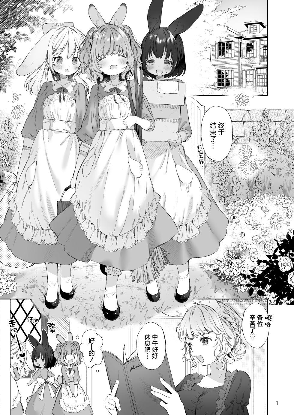[ANCHOR (Mutou Mato)] Usamimimaid to koibitoH | 兔兔耳朵小女仆和恋人色色 [Chinese] [吗喽汉化组] [Digital] - Page 2