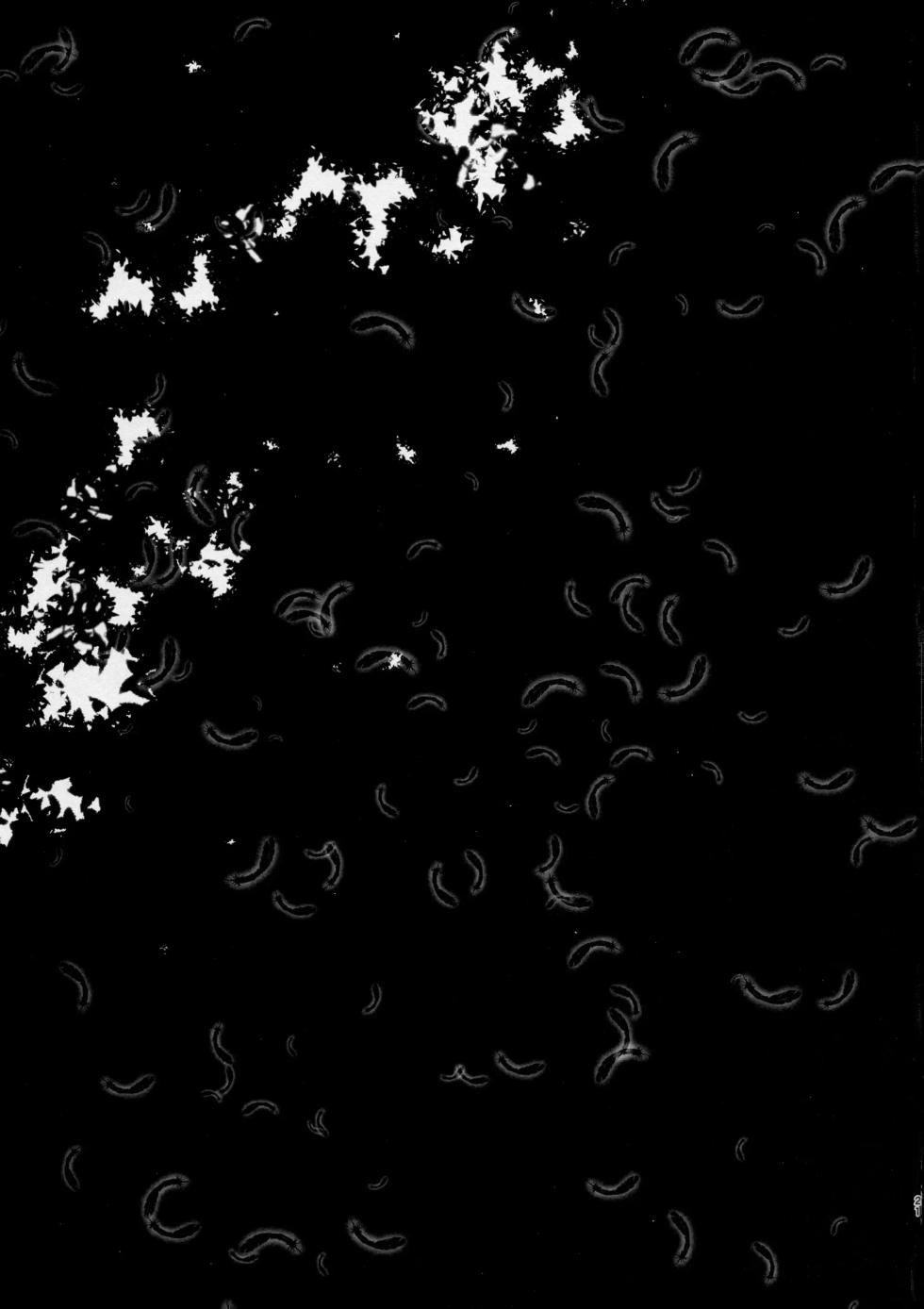 (C95) [Sasa Chaya (Sasa Sakuno)] HAPPY END (Satsuriku no Tenshi) [Korean] - Page 21