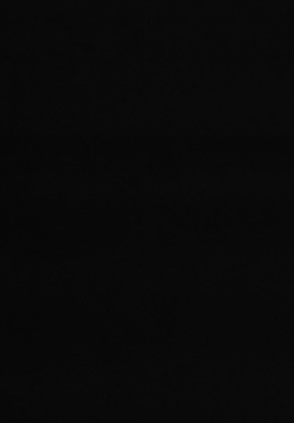 (C105) [Hitsuji Kikaku (Muneshiro)] Hahaue mo Mesu Orc 3 - Page 28