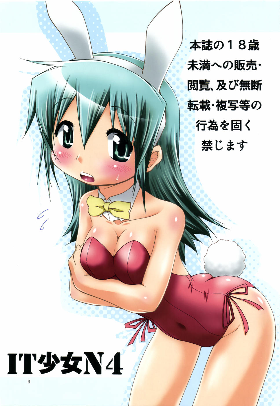 (C78) [FESTA (Yoshitani Ganjitsu)] IT Shoujo N4 (Hidamari Sketch) - Page 2