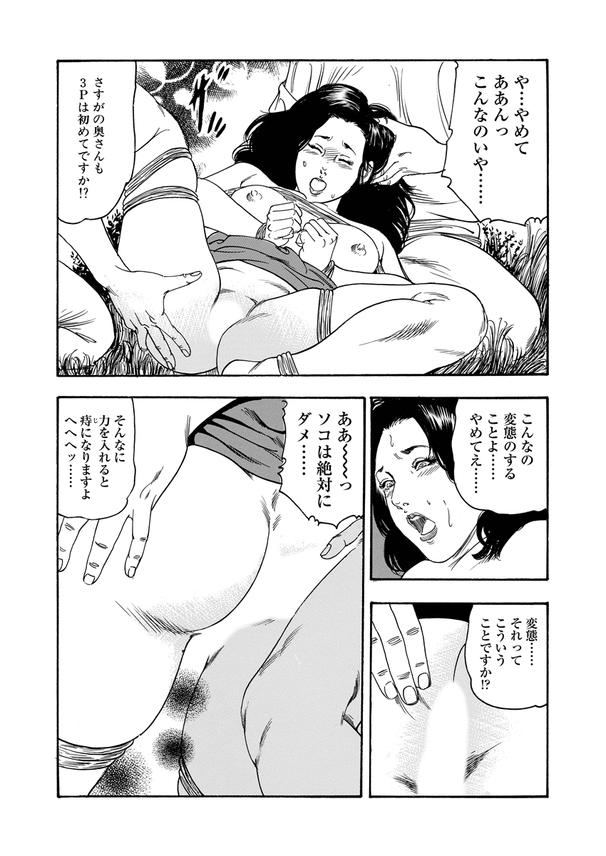 [Hodaka Akira] Ijou Seiai [Digital] - Page 29