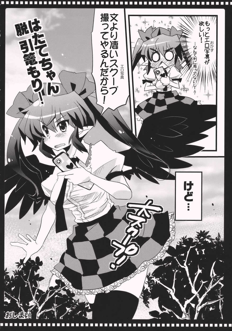 (Kouroumu 6) [AREYOUHAPPY? (Asai Ichiko)] Hatate no Hitori de Dekirumon! (Touhou Project) - Page 14