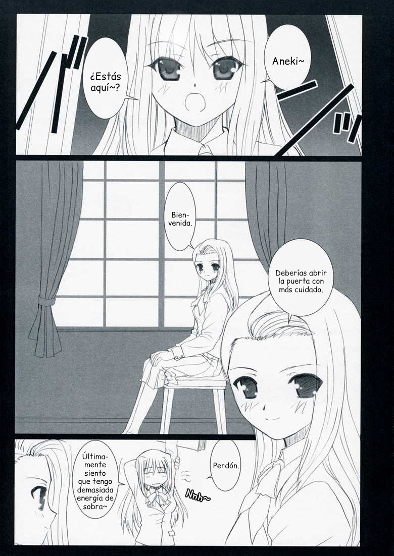(SC33) [DIEPPE FACTORY (Alpine)] WITCHBLOOD (Mahou Tsukai no Yoru) [Spanish] {ServalYuri} - Page 4