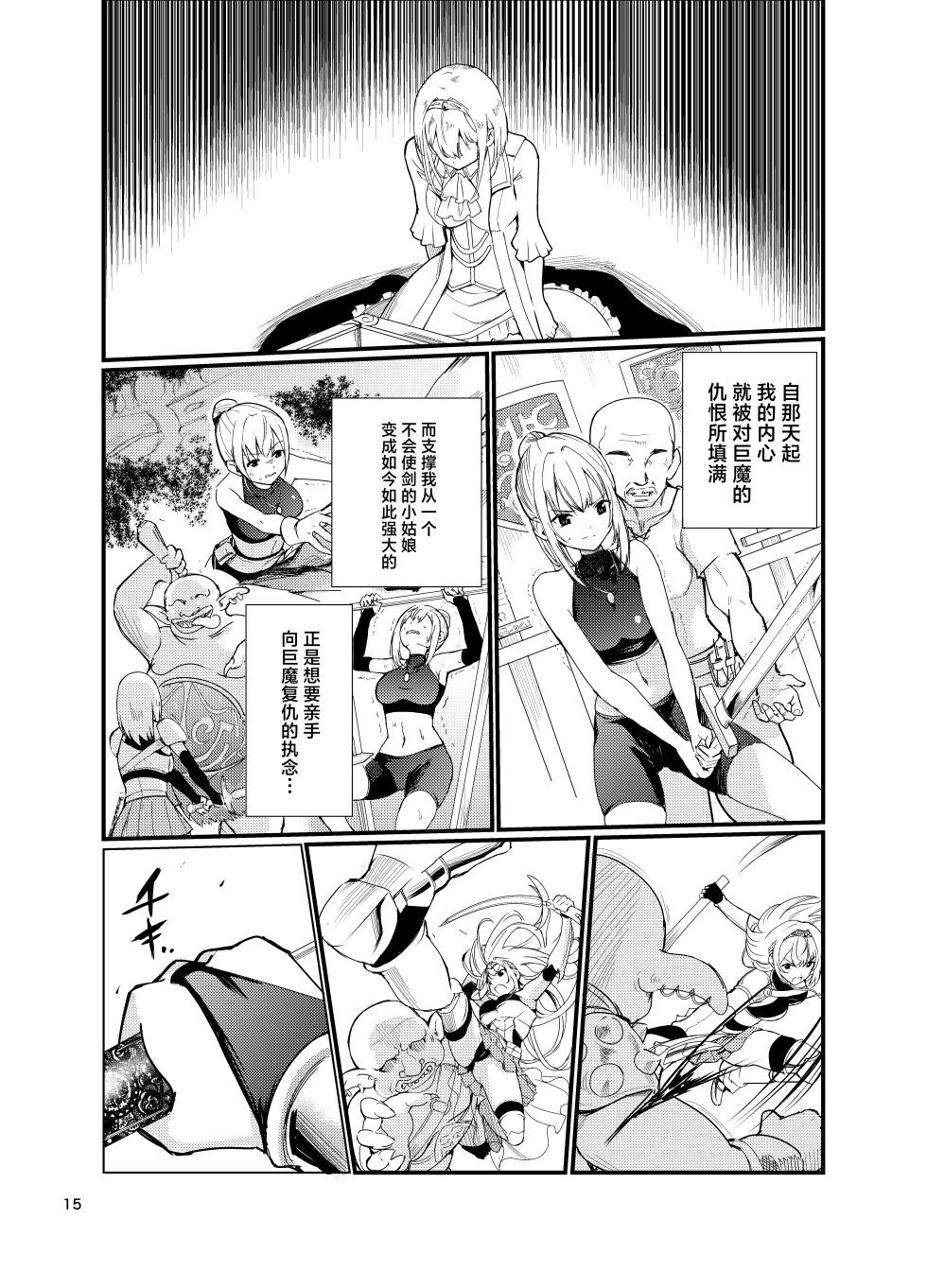[Raid Socks (Tricky)] Kyouran no Toubatsu Hime Daria 2 [Chinese] [Digital] - Page 14