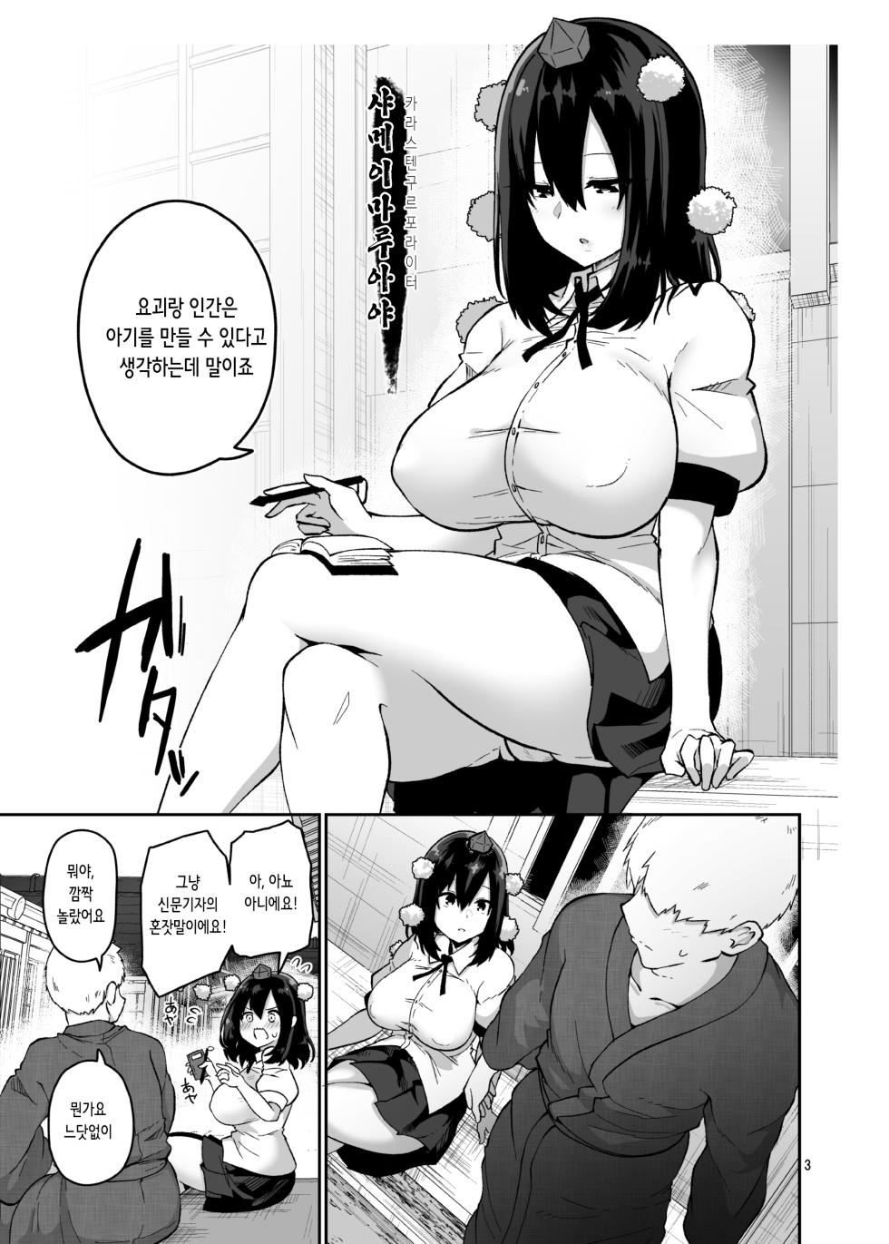[Komamesugata (Akure Ekuto)] Youkai to Ningen wa Kozukuri Dekiru no ka? Shirabete Mimashita! - Can yokai and humans procreate? I looked it up! | 요괴와 인간은 아기를 만들 수 있는가？ 조사해보았습니다! (Touhou Project) [Digital] [Korean] - Page 4