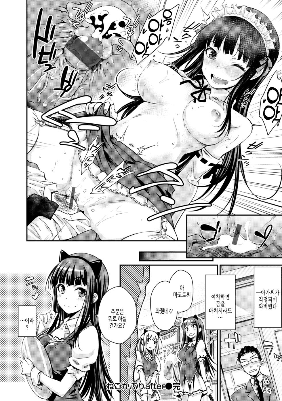 [Okara] Noboseyu + Nekokaburi -Kanzenban- | 달아올라 + 어리광쟁이 -완전판- [Korean] [여름엔팝핀수] - Page 28
