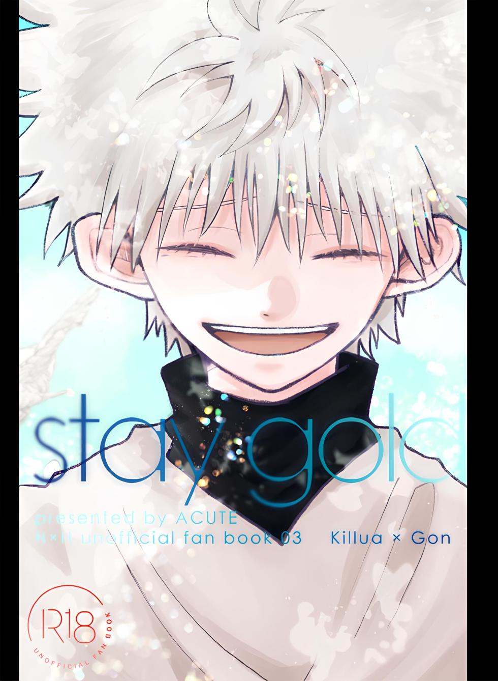 (Re:HUNTER 10) [ACUTE (siyo)] stay gold (Hunter x Hunter) - Page 1