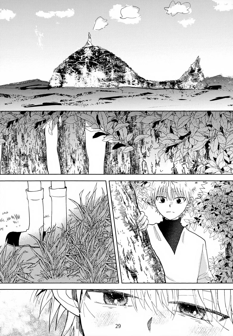 (Re:HUNTER 10) [ACUTE (siyo)] stay gold (Hunter x Hunter) - Page 29