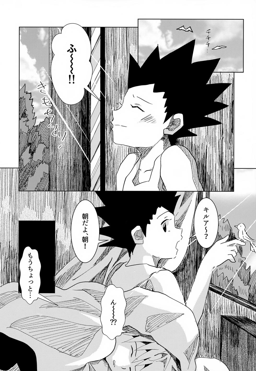 [Rakurui no Sonosakihe (Mu)] Kono Kimochi ni Namae o Tsukeyou. (Hunter x Hunter) - Page 10