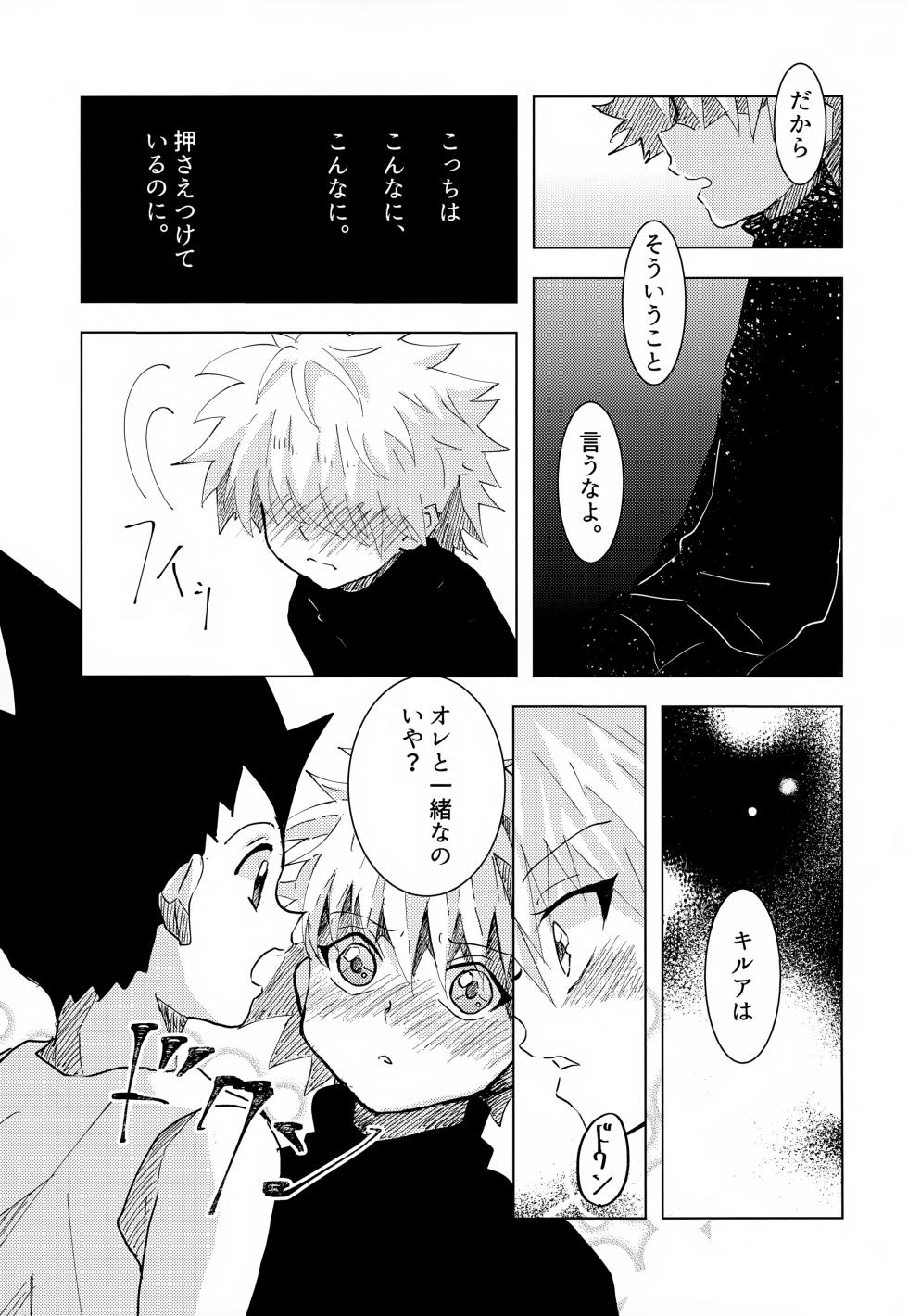 [Rakurui no Sonosakihe (Mu)] Kono Kimochi ni Namae o Tsukeyou. (Hunter x Hunter) - Page 13