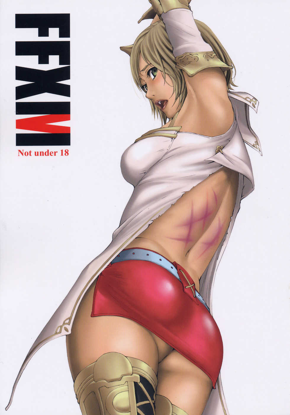 (C70) [M (Amano Ameno)] FFXM (Final Fantasy XII) [French] [Jiaker] - Page 1