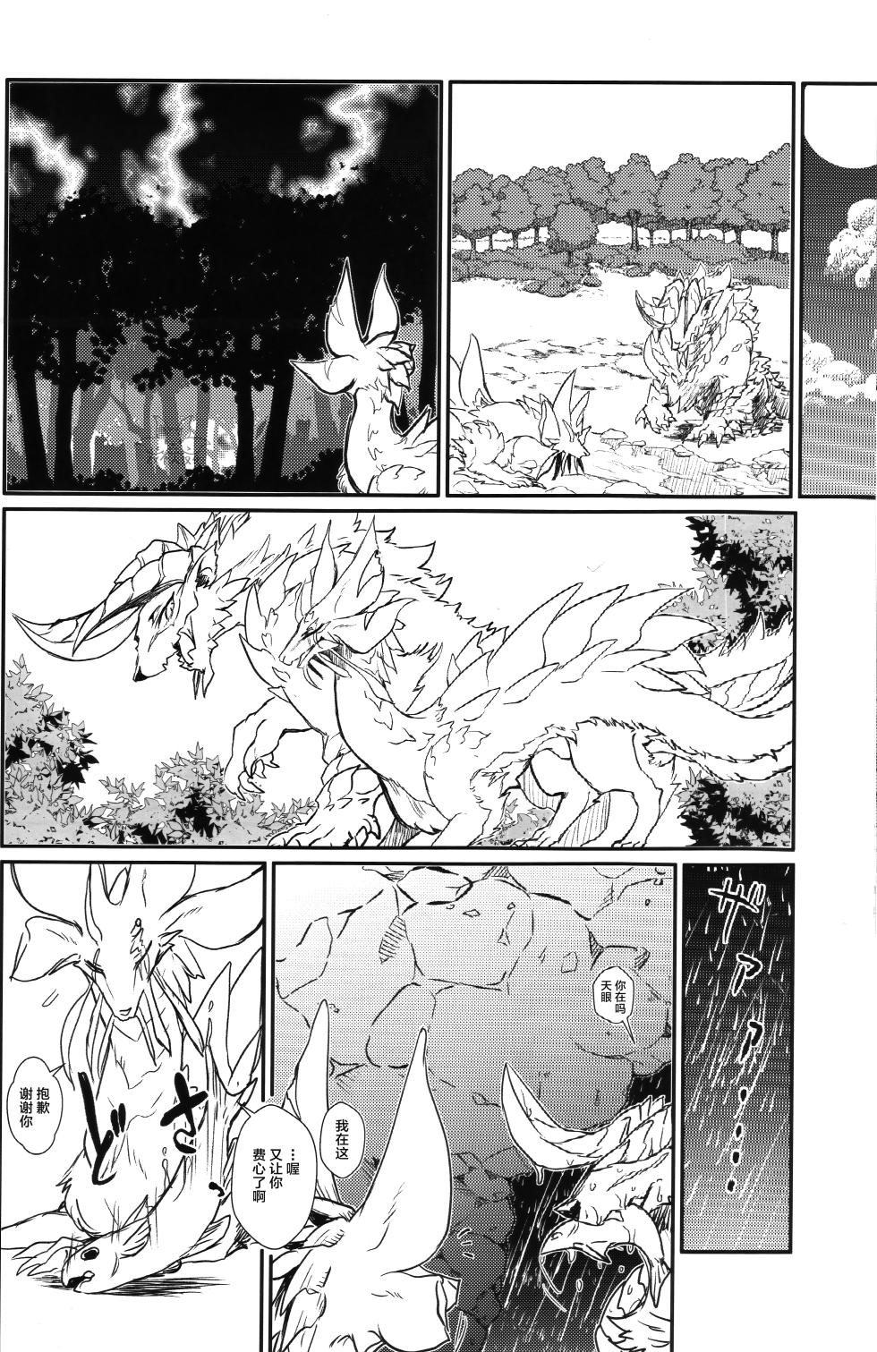 (Kansai Kemoket 9) [Hoshi Futatsu. (Yoo Oona)] Kinkaminari Mumyo ni Saku | 金雷无明地绽放 (Monster Hunter) [Chinese] [ZX个人汉化] - Page 23