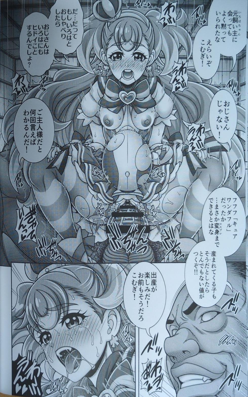 (C104) [K2 Tomo no Kai (Mizuki)] Mesuinu Harabara (Wonderful PreCure!) - Page 17