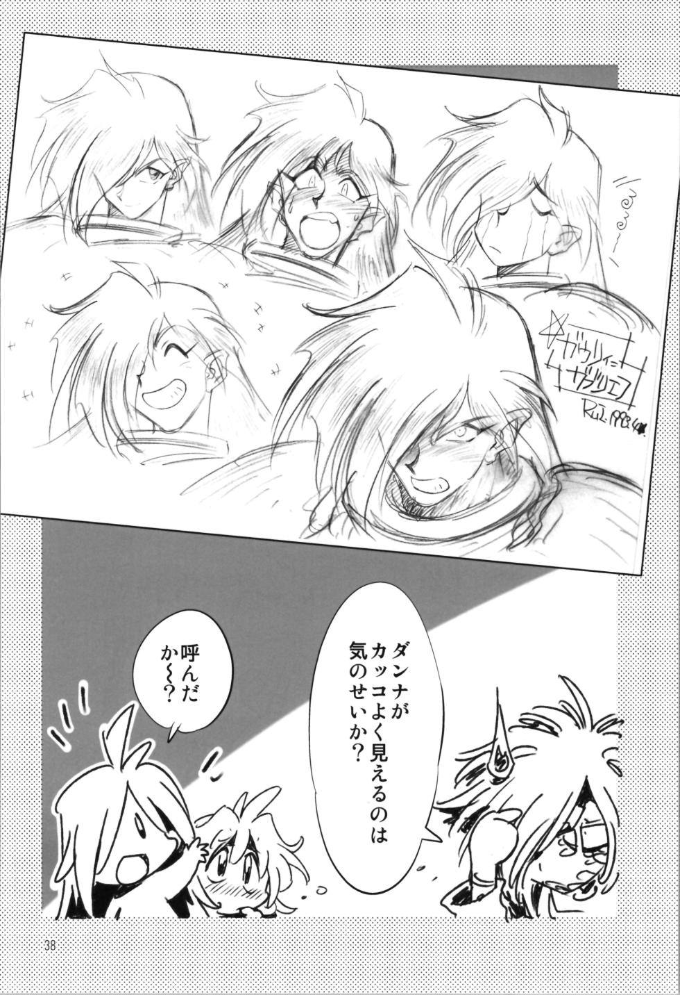 (C105) [Ruirui Kikaku (Araizumi Rui)] "Slayers" Ruiruitei New Collection (Slayers) - Page 38