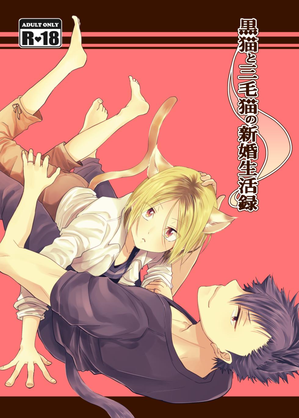 [Nabahaze (Kurosuke)] Kuroneko to Mikeneko no Shinkon Seikatsuroku (Haikyuu!!) [Digital] - Page 1