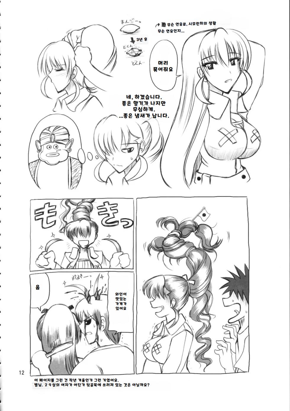 브랜힐트 선생 관측, 지뢰지대에서 안요가 잘하는 자리 - Page 11