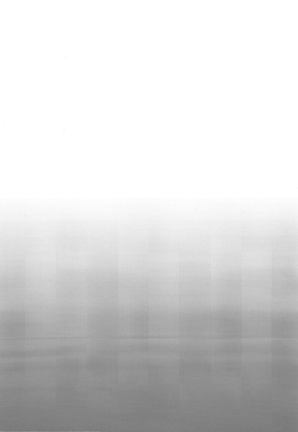 [Kingyo Origin (Kayama Rim)] Genkyou (Touhou Project) [Chinese] [Digital] - Page 18