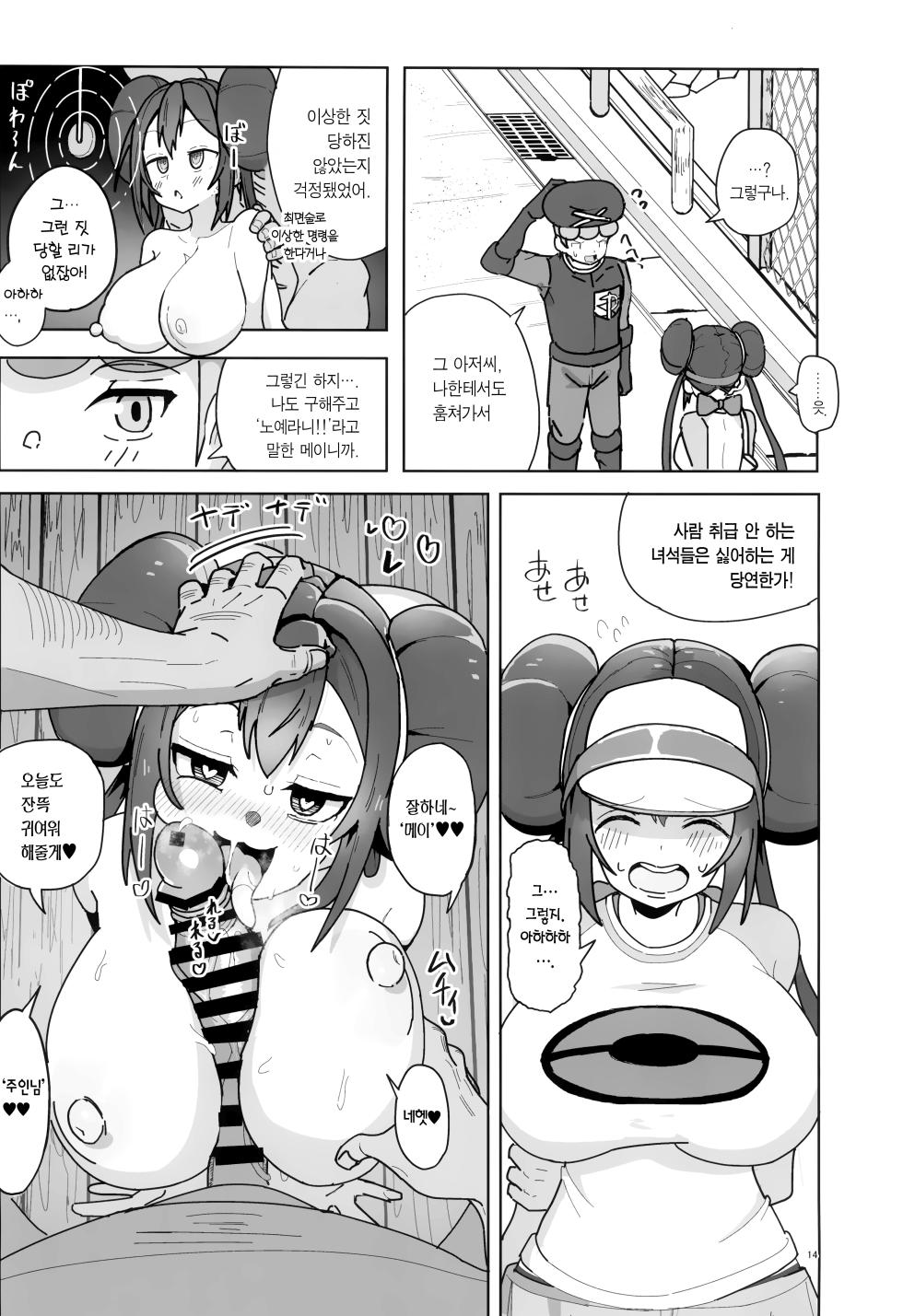 (C105) [Dokoka no Yosumi (Sumizumi Yosumi)] Maso Pet Making | 마조 펫 메이킹 (Pokémon Black 2 and White 2) [Korean] [Team Edge] - Page 13