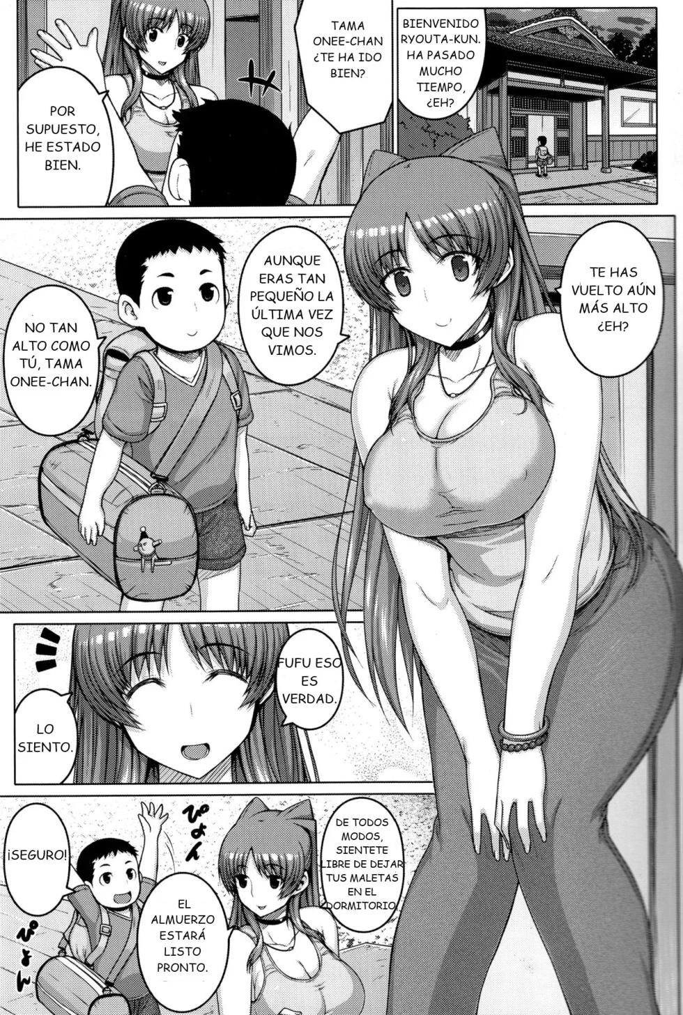 (C92) [Darabuchidou (Darabuchi)] AddOn! (ToHeart2)  [Spanish] [ChillysWillys] - Page 4