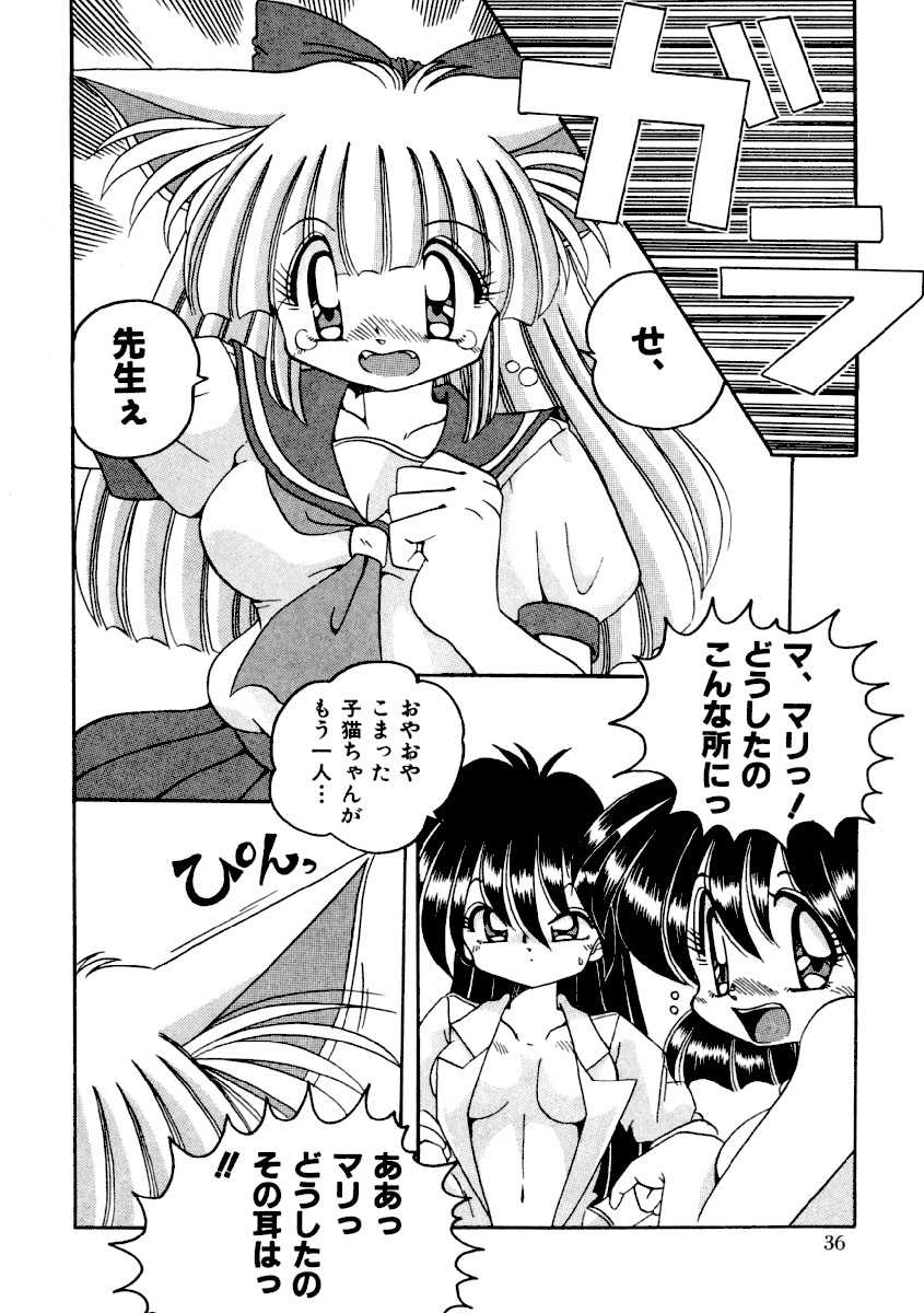 (Adult Manga) [Anthology] Girls sorority rip cat ears Vol.02 - Page 38
