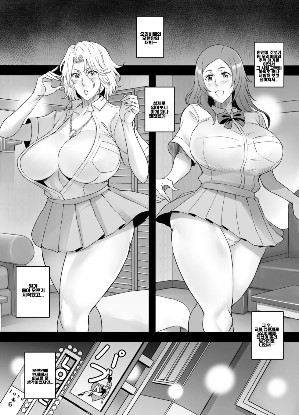 [DIOGENES CLUB (Haikawa Hemlen)] BRICOLA 8 (BLEACH) [Korean] [Digital] - Page 3