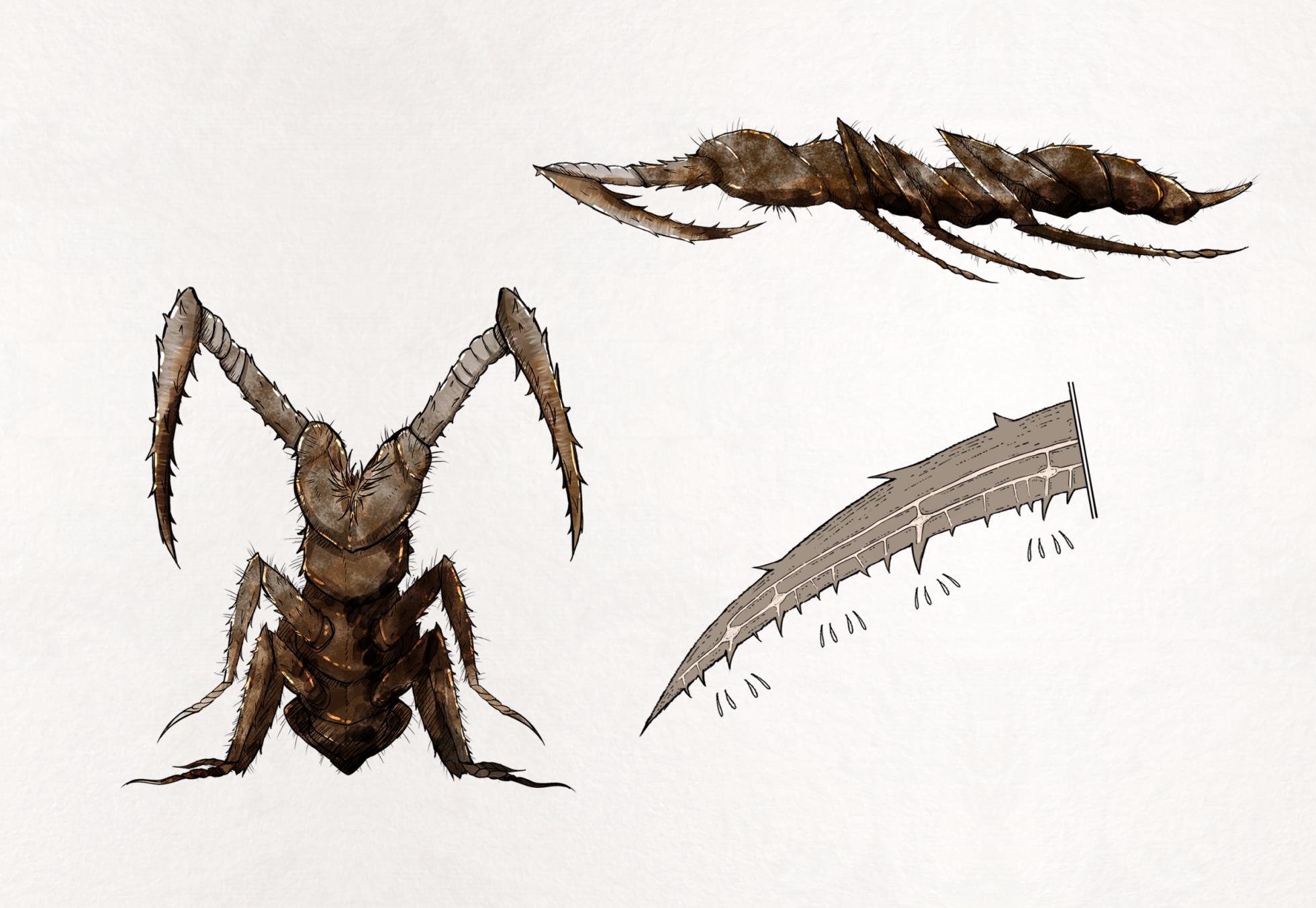 [Gura] Insect Research Report No.21 - Page 5