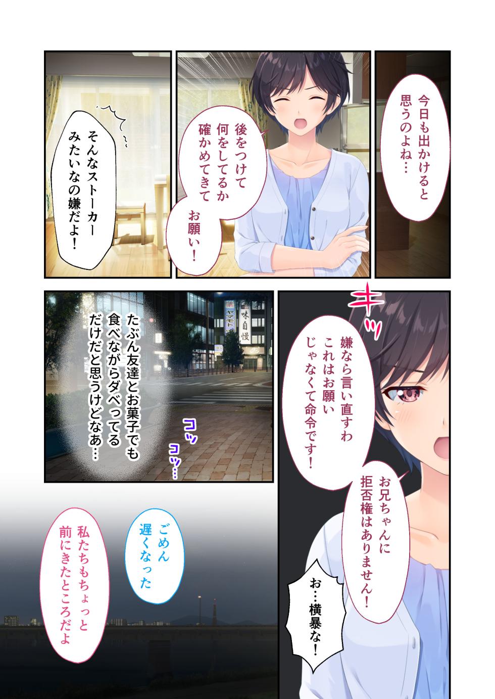 [Whisp] Gaman Ga Dekinai Doutei Aniki To Sunao Ni Narenai Hankou Imouto ~Futsuu No Namaiki Imouto Ruuto~ - Page 19