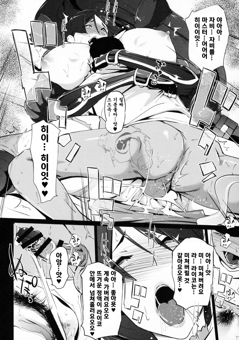 [C.N.P (Clone Ningen)] Yorimitsu ni... (Fate/Grand Order) [Korean] - Page 18